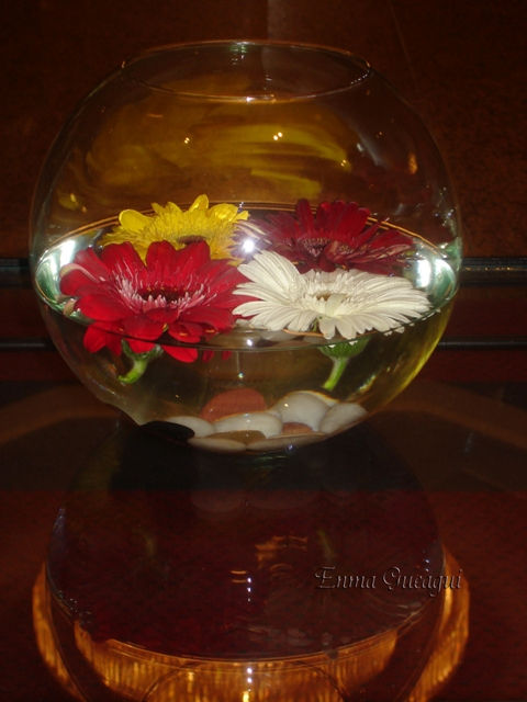 REFLEJO