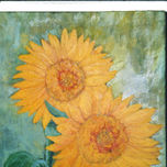 flores thumbnail 1