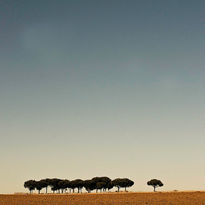 A cielo abierto