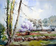 "Arboles en Gallecs"