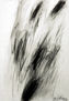 Fantasma