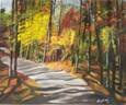 En los bosques del...