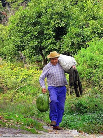 Campesino de Árchez