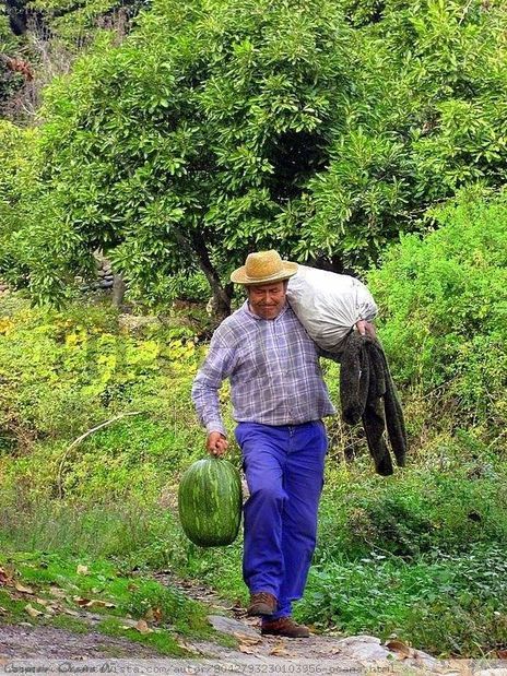 Campesino de Árchez