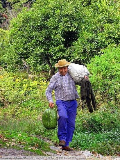 Campesino de Árchez Otras temáticas Color (Digital)