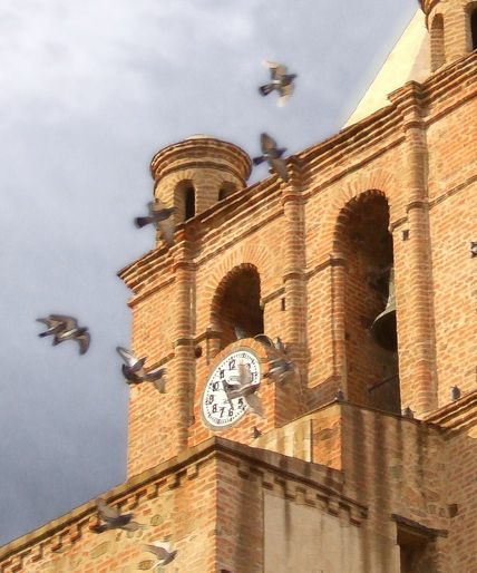Vuelo libre