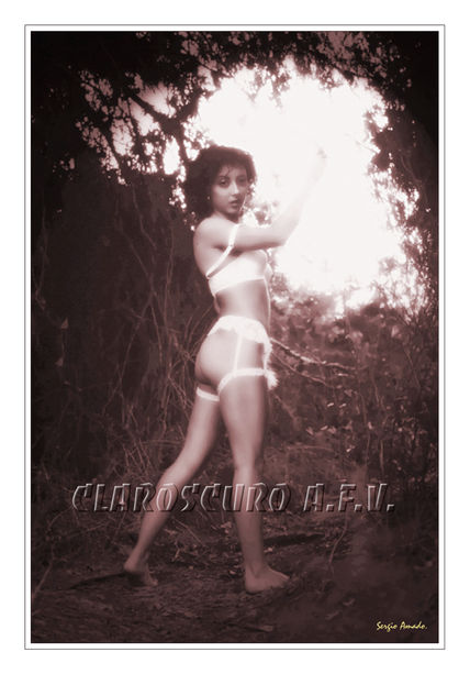 En el bosque