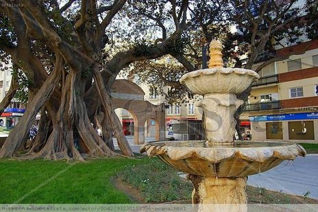 Bonita  Estampa