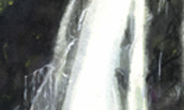 naturaleza