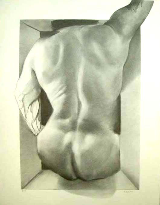 Torso