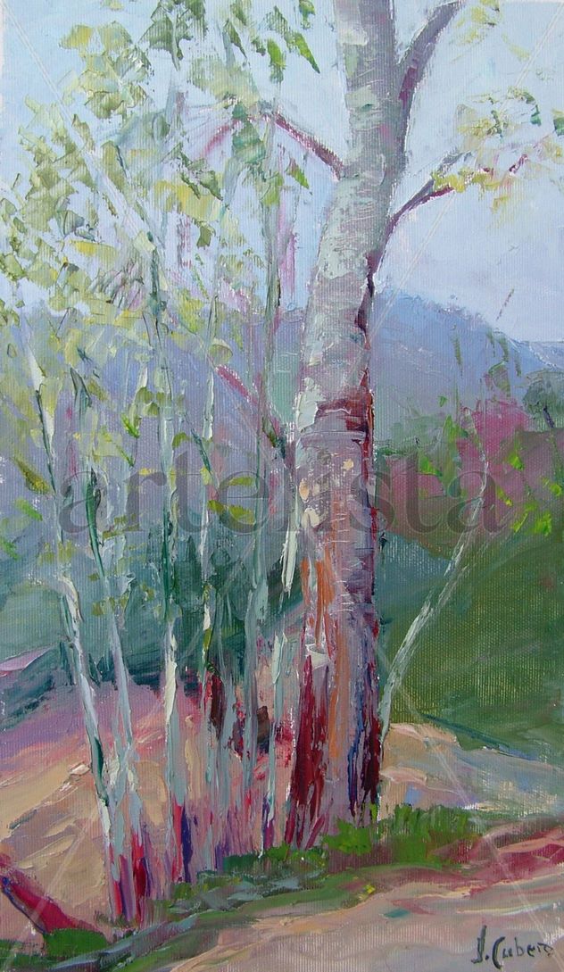 Arbol
