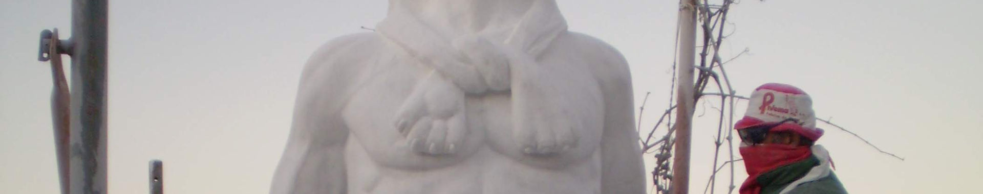 Imagen de portada