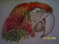 serie aves tropicales