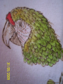 Serie aves tropicales