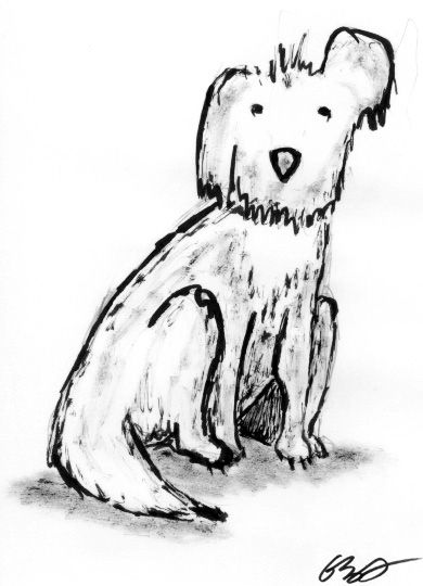 Cão