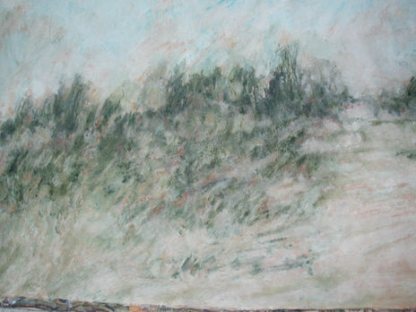 Paisaje IV