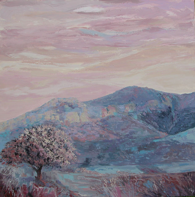 LA SOLANA