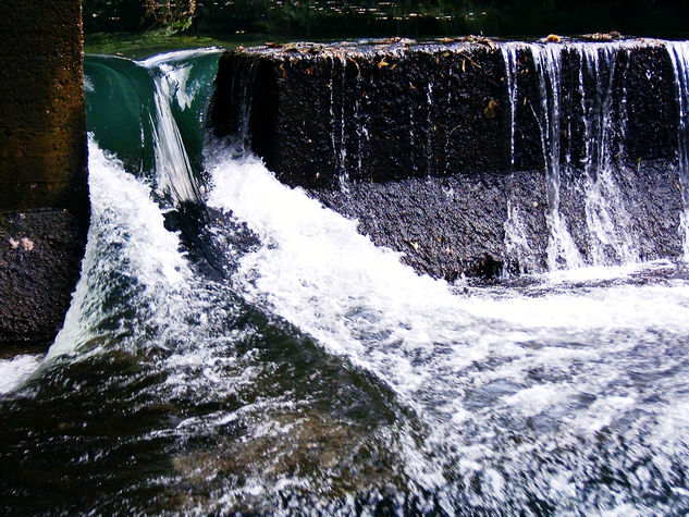 AGUA Naturaleza Color (Digital)