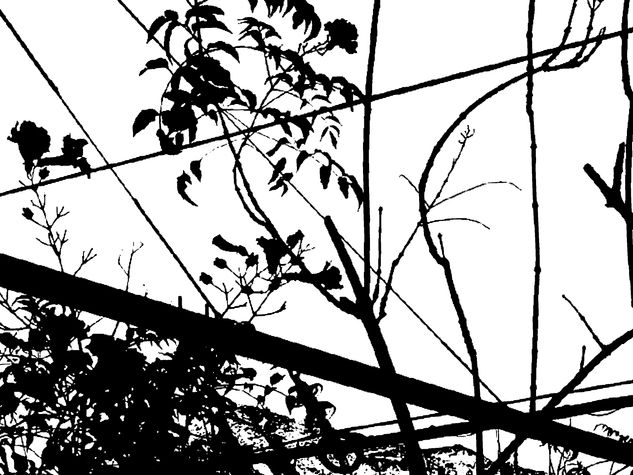 las redes floridas Conceptual/Abstract Black and White (Digital)