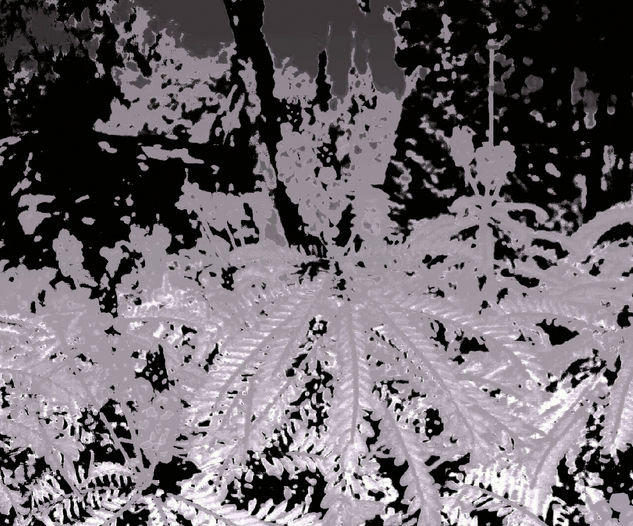 invierno en mi pueblo Conceptual/Abstracto Blanco y Negro (Digital)