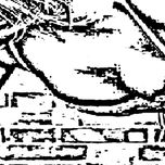Plastic Bodies Senseless Growing thumbnail 2