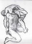 sobre lucha libre de Sargent