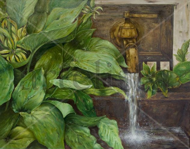 serie Fonte no xardín-1