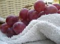 uvas