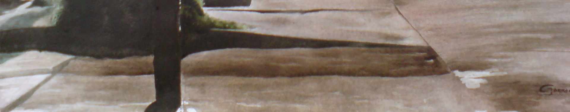 Imagen de portada