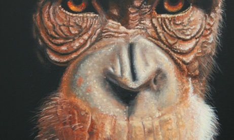 Pintura Realista - Animales Varios