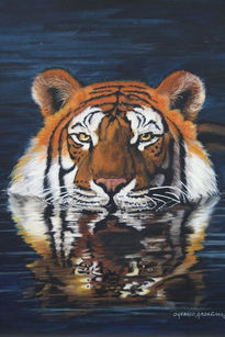 Tigre en el agua