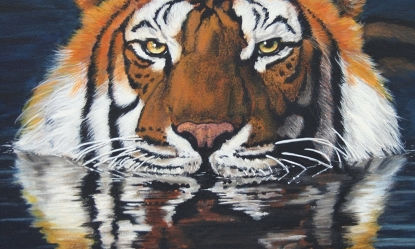 Pintura Realista - Felinos