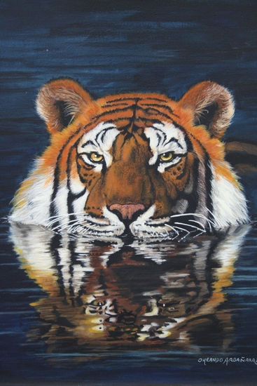 Tigre en el agua Acrílico Lienzo Animales