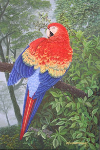 Guacamayo