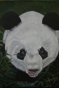 Oso Panda