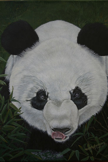 Oso Panda Acrylic Canvas Animals