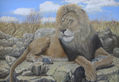 León