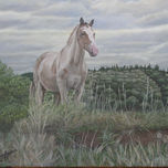 Pintura Realista - Caballos thumbnail 1