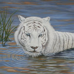 Pintura Realista - Felinos thumbnail 1
