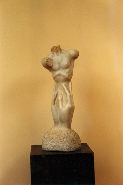 Manos con torso
