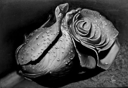 Rosa negra