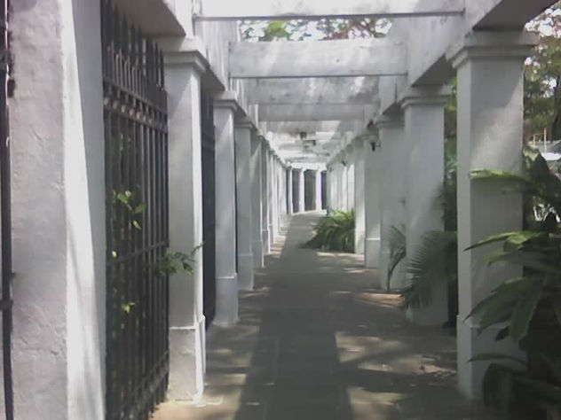 QUINTA DE SAN PEDRO ALEJANDRINO