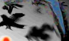 ARTE DIGITAL
