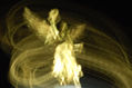 Ángel de la Independencia