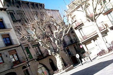 Solsona 