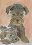 dos cachorros
