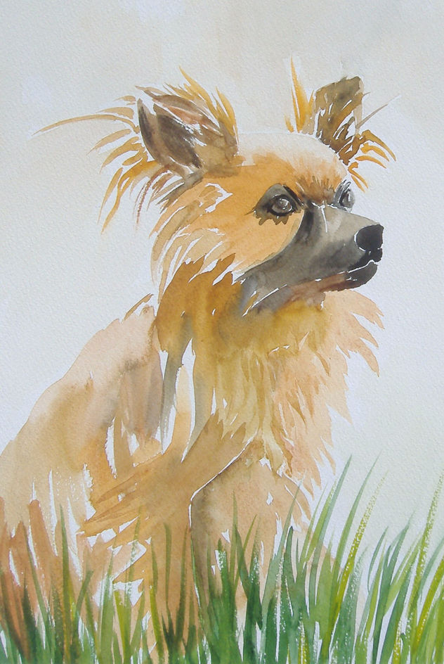 perrito