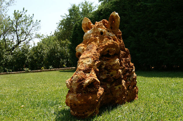 cabeza de caballo
