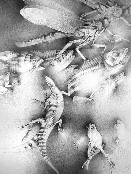 La Iguana