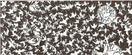 Bestiario 1
